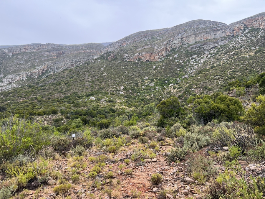 0 Bedroom Property for Sale in Ladismith Western Cape